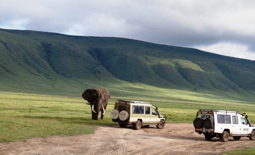 Tips for visiting Ngorongoro crater on Tanzania wildlife safari tour